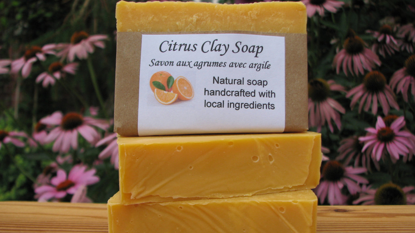 Citrus Clay Soap